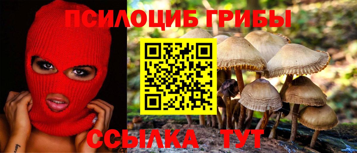 Псилоцибиновые грибы прущие грибы  Галлюциногенные грибы Psilocybine cubensis  Вход с VPN  Лабинск 
