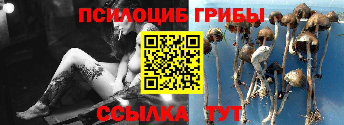 Псилоцибиновые грибы MAGIC MUSHROOMS Лабинск